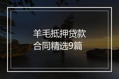 羊毛抵押贷款合同精选9篇