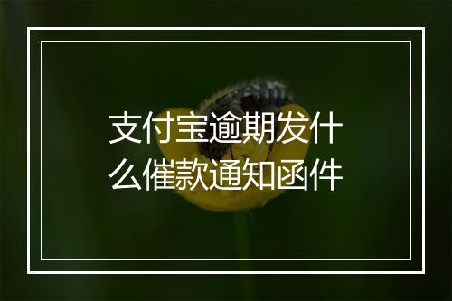 支付宝逾期发什么催款通知函件