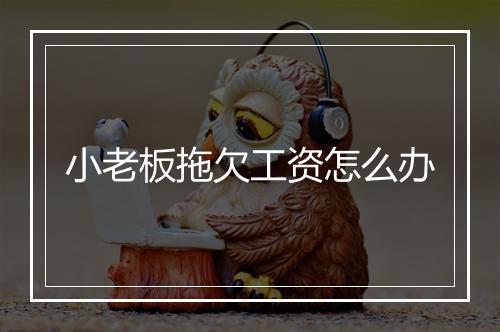 小老板拖欠工资怎么办
