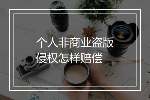 个人非商业盗版侵权怎样赔偿