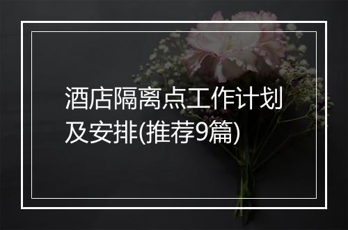 酒店隔离点工作计划及安排(推荐9篇)
