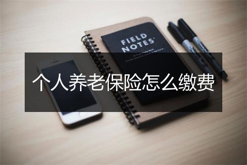 个人养老保险怎么缴费