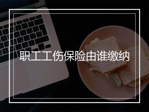 职工工伤保险由谁缴纳