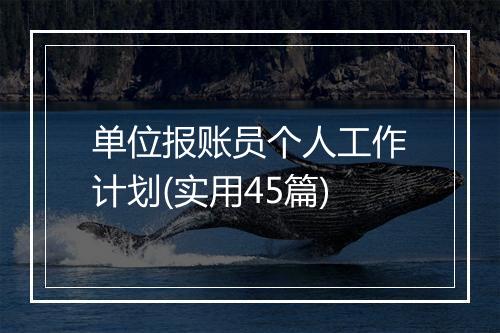 单位报账员个人工作计划(实用45篇)