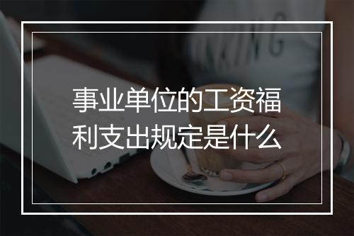 事业单位的工资福利支出规定是什么