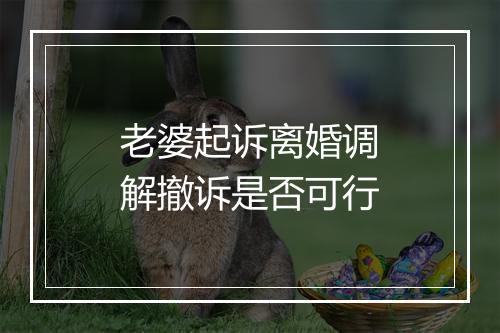 老婆起诉离婚调解撤诉是否可行