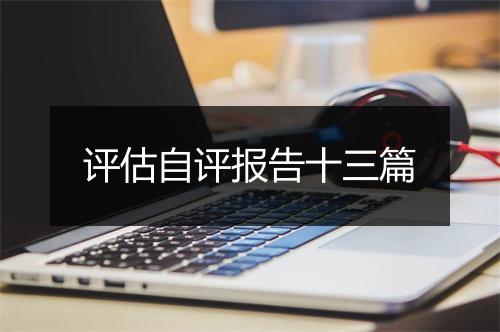 评估自评报告十三篇