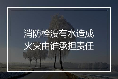 消防栓没有水造成火灾由谁承担责任