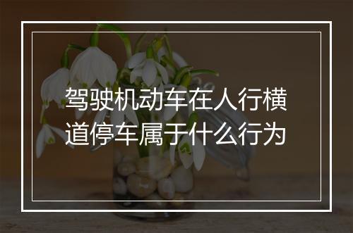 驾驶机动车在人行横道停车属于什么行为
