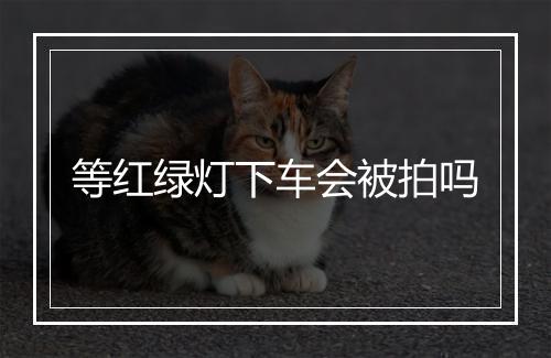 等红绿灯下车会被拍吗