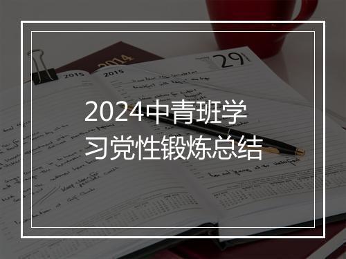 2024中青班学习党性锻炼总结
