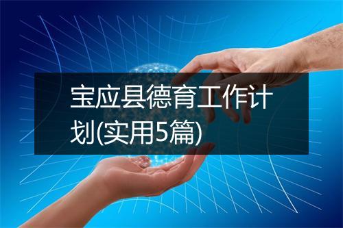 宝应县德育工作计划(实用5篇)
