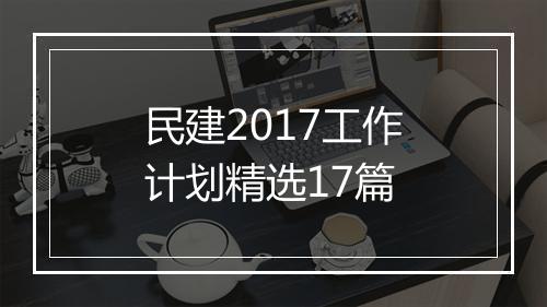 民建2017工作计划精选17篇