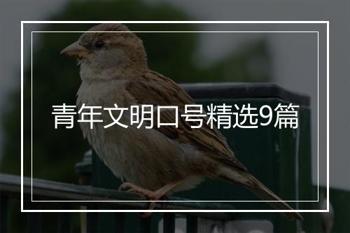 青年文明口号精选9篇