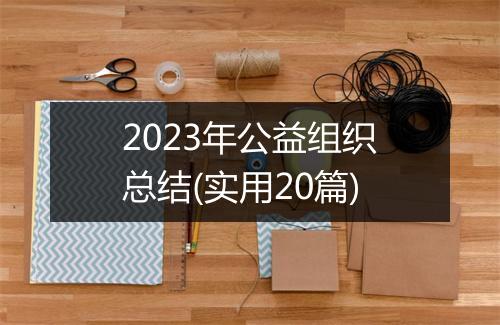 2023年公益组织总结(实用20篇)