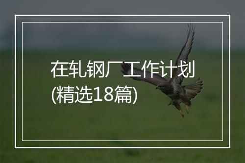 在轧钢厂工作计划(精选18篇)