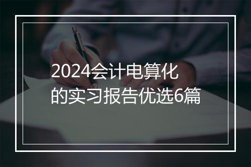 2024会计电算化的实习报告优选6篇