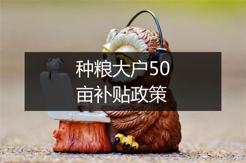 种粮大户50亩补贴政策