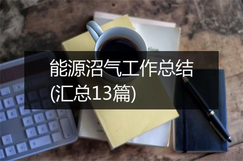 能源沼气工作总结(汇总13篇)