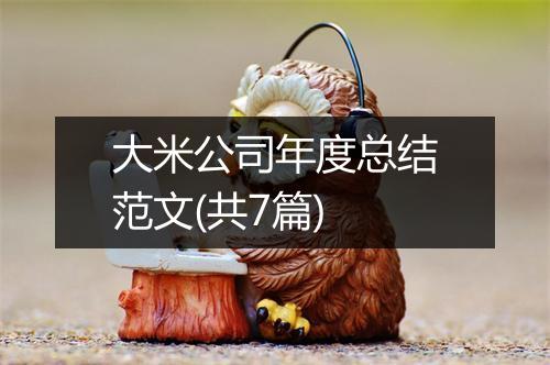 大米公司年度总结范文(共7篇)