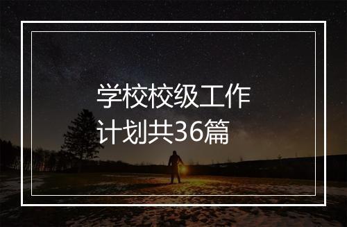 学校校级工作计划共36篇