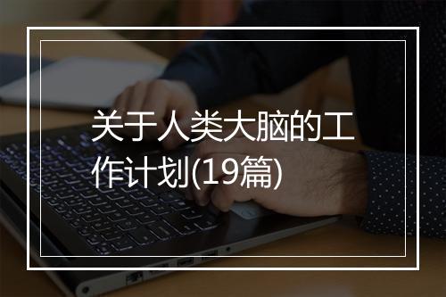 关于人类大脑的工作计划(19篇)