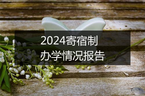 2024寄宿制办学情况报告