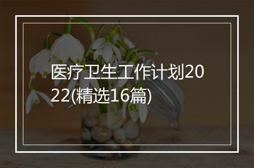 医疗卫生工作计划2022(精选16篇)