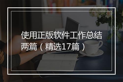使用正版软件工作总结两篇(精选17篇)