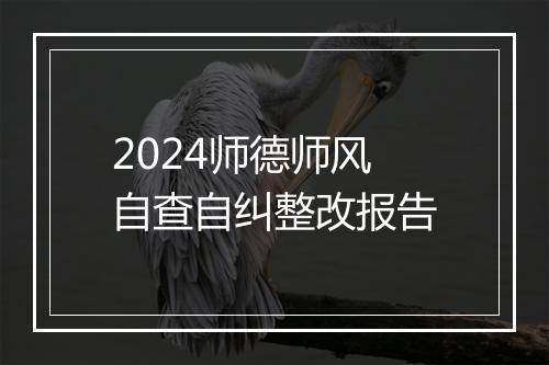 2024师德师风自查自纠整改报告