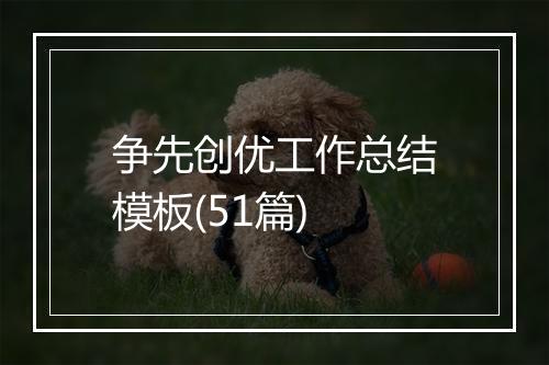 争先创优工作总结模板(51篇)