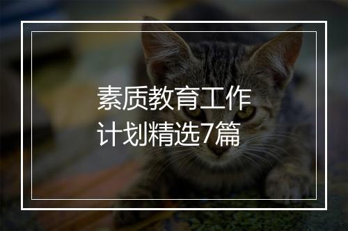 素质教育工作计划精选7篇