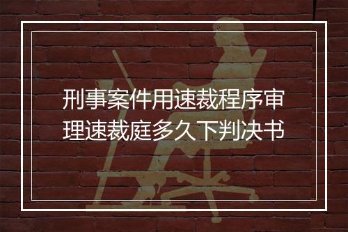刑事案件用速裁程序审理速裁庭多久下判决书