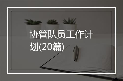 协管队员工作计划(20篇)