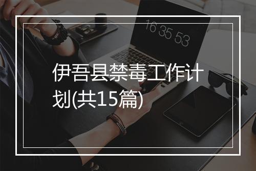 伊吾县禁毒工作计划(共15篇)