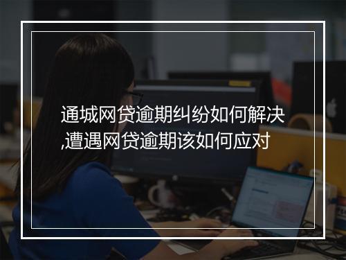 通城网贷逾期纠纷如何解决,遭遇网贷逾期该如何应对