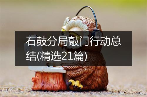 石鼓分局敲门行动总结(精选21篇)