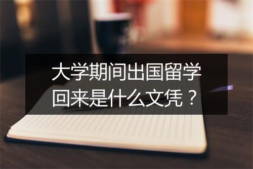 大学期间出国留学回来是什么文凭?