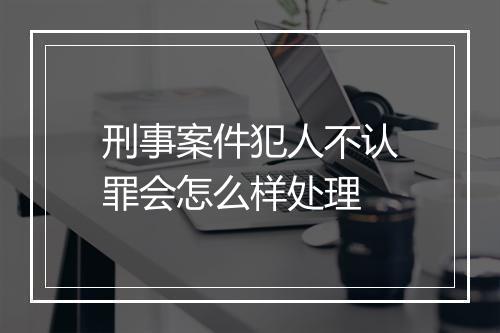 刑事案件犯人不认罪会怎么样处理