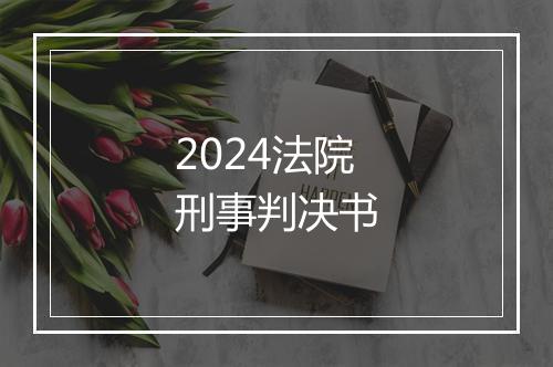 2024法院刑事判决书