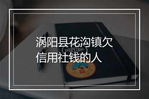 涡阳县花沟镇欠信用社钱的人