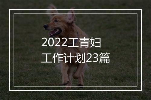 2022工青妇工作计划23篇