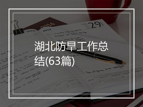 湖北防旱工作总结(63篇)
