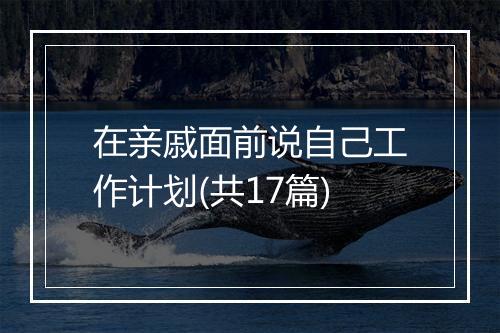 在亲戚面前说自己工作计划(共17篇)