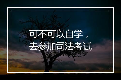 可不可以自学,去参加司法考试