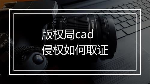 版权局cad侵权如何取证