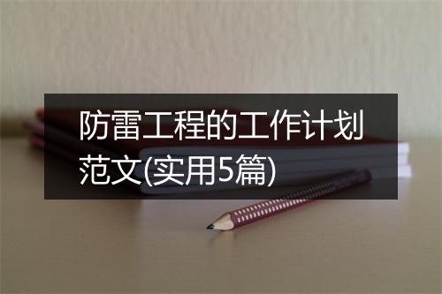 防雷工程的工作计划范文(实用5篇)