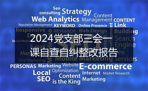 2024党支部三会一课自查自纠整改报告