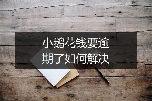 小鹅花钱要逾期了如何解决