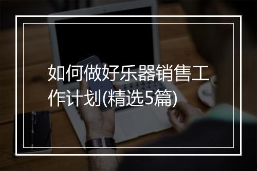 如何做好乐器销售工作计划(精选5篇)